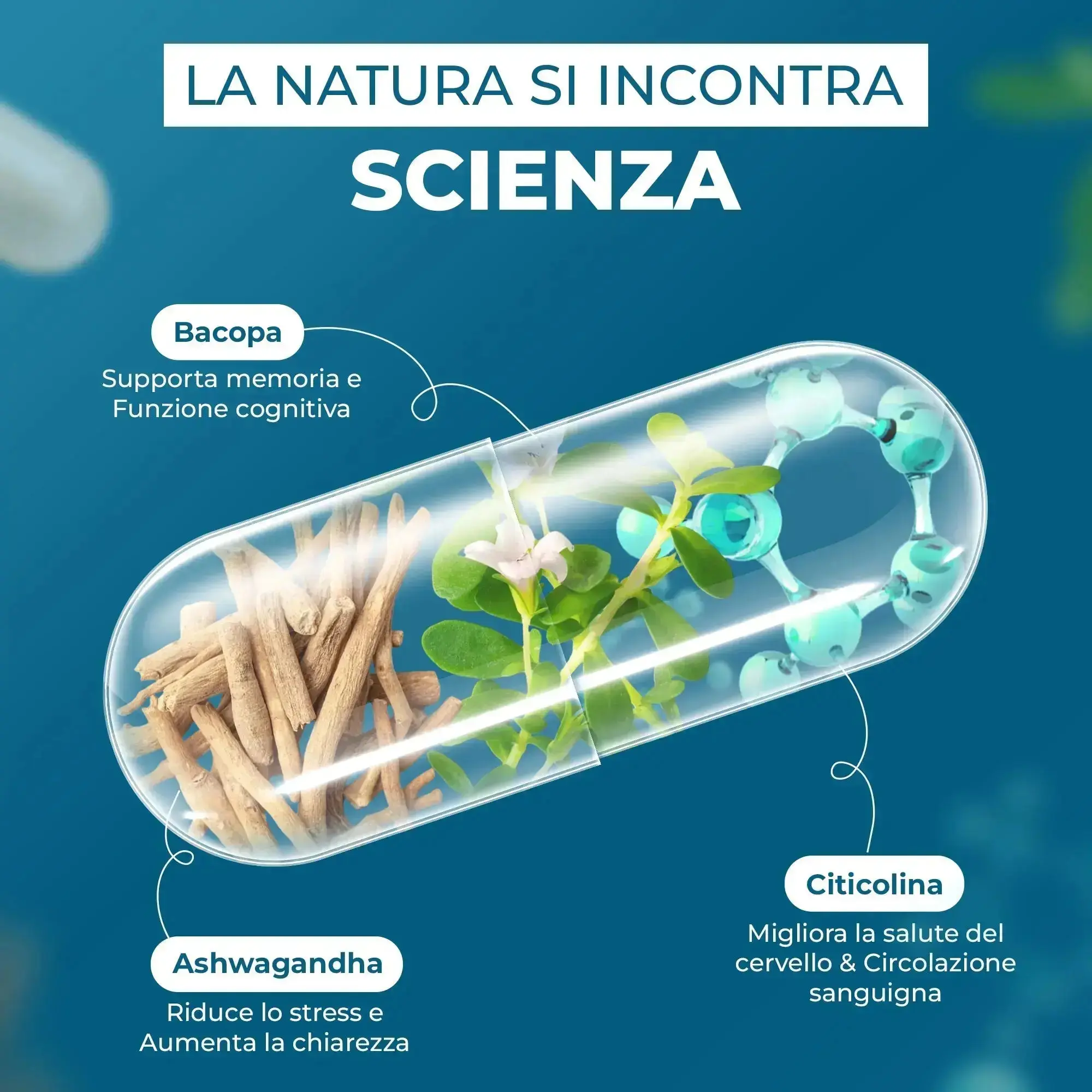Immagine prodotto 5